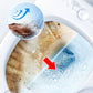 🚽🧹 50% RABATT! Einweg-Toilettenbürste – inkl. Reinigungskopf, frischer Duft, praktische Aufbewahrung – perfekt für jedes Bad. 💧✅