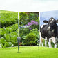 ⏰ KAUFE 3, ERHALTE 1 GRATIS! 🐭 Wasserdichter Maulwurfsabwehr – solarbetrieben – 360° Ultraschall + Vibration, wasserdicht & wiederaufladbar – hält Maulwürfe, Wühlmäuse & Schädlinge zuverlässig fern 🌿