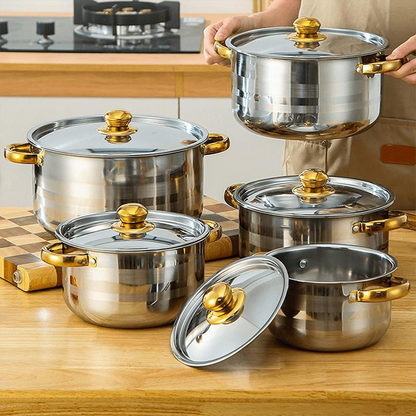 Fünfteiliges Kochgeschirr-Set 🍲 Alles, was Sie zum Schmoren, Kochen und Braten benötigen. Dickes Edelstahlblech, transparenter Deckel, goldener Griff. Geeignet für alle Herdarten 🔥
