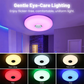 💡🎵Smarte 60W LED Deckenleuchte mit Bluetooth-Lautsprecher | RGB Farbwechsel & Dimmbar