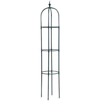 🌿 –50% RABATT | Rankhilfe für Kletterpflanzen im Garten🌹🌺