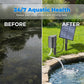 🐟✨ Solar-Teichbelüfter mit Luftpumpe – sauberes Wasser, gesunde Fische, null Stromkosten. ☀️💧